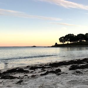 Meet your Posher, Tahia